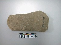 藏品(中型打製石斧)的圖片